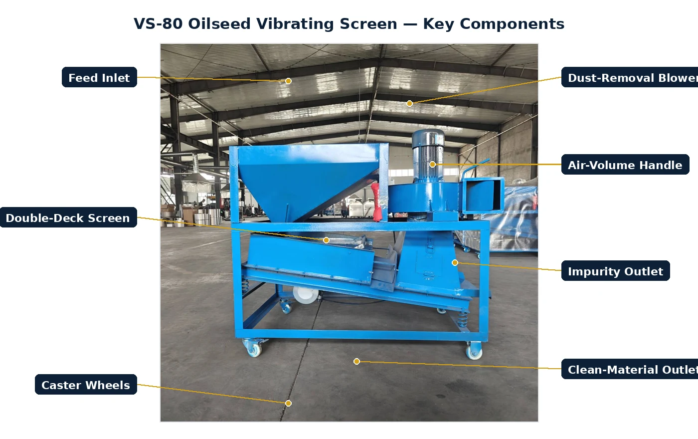 VS-80 oilseed vibrating screen labelled key components: feed inlet, dust-removal blower, double-deck screen, air-volume handle, impurity outlet, clean-material outlet and caster wheels